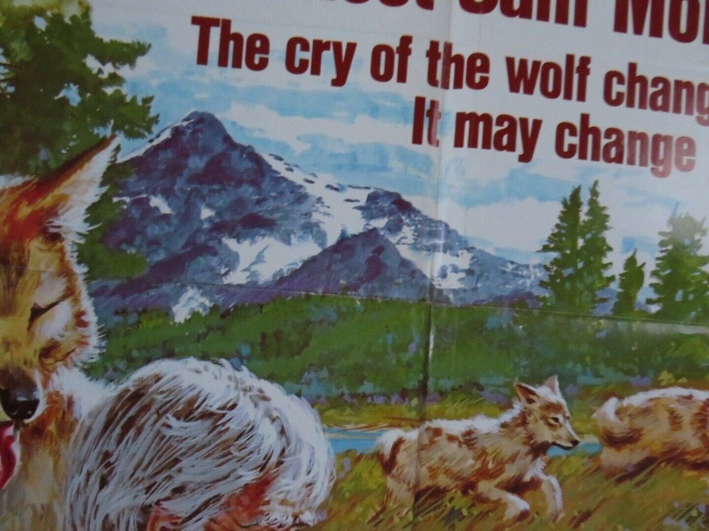 BROTHER OF THE WIND US ONE SHEET POSTER LEON AMES 1973 Movie posters