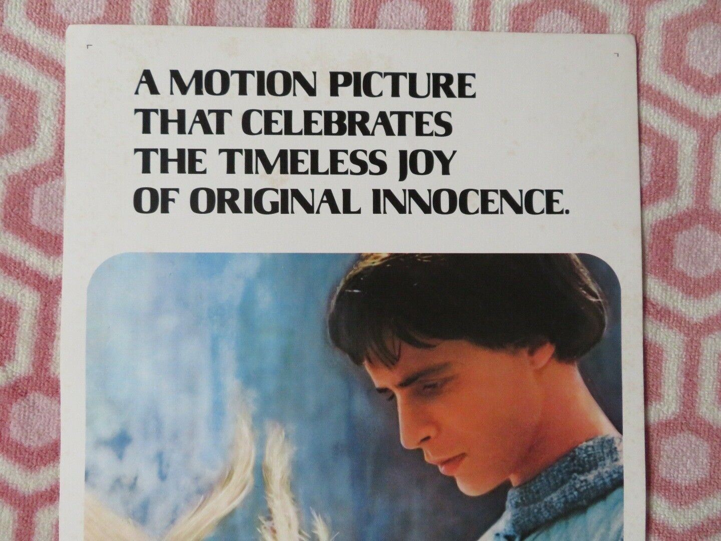 BROTHER SUN, SISTER MOON US INSERT (14"x 36") POSTER GRAHAM FAULKNER 1973 - Rendezvous Cinema