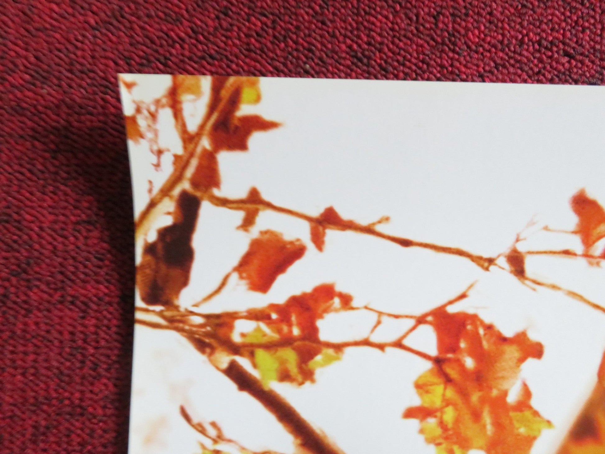 BROWN SUGAR US ONE SHEET ROLLED POSTER TAYE DIGGS SANAA LATHAN 2002 Rendezvous Cinema Movie posters