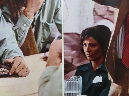 BRUBAKER - A ITALIAN FOTOBUSTA POSTER ROBERT REDFORD YAPHET KOTTO 1980 Rendezvous Cinema Movie posters