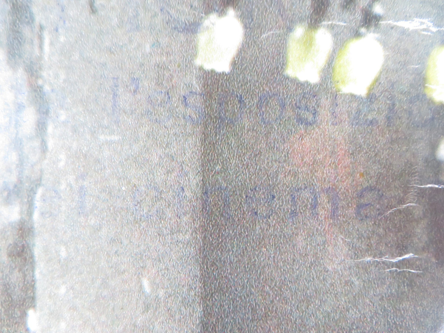 BUG - A ITALIAN FOTOBUSTA POSTER BRADFORD DILLMAN JOANNA MILES 1975 Rendezvous Cinema Movie posters