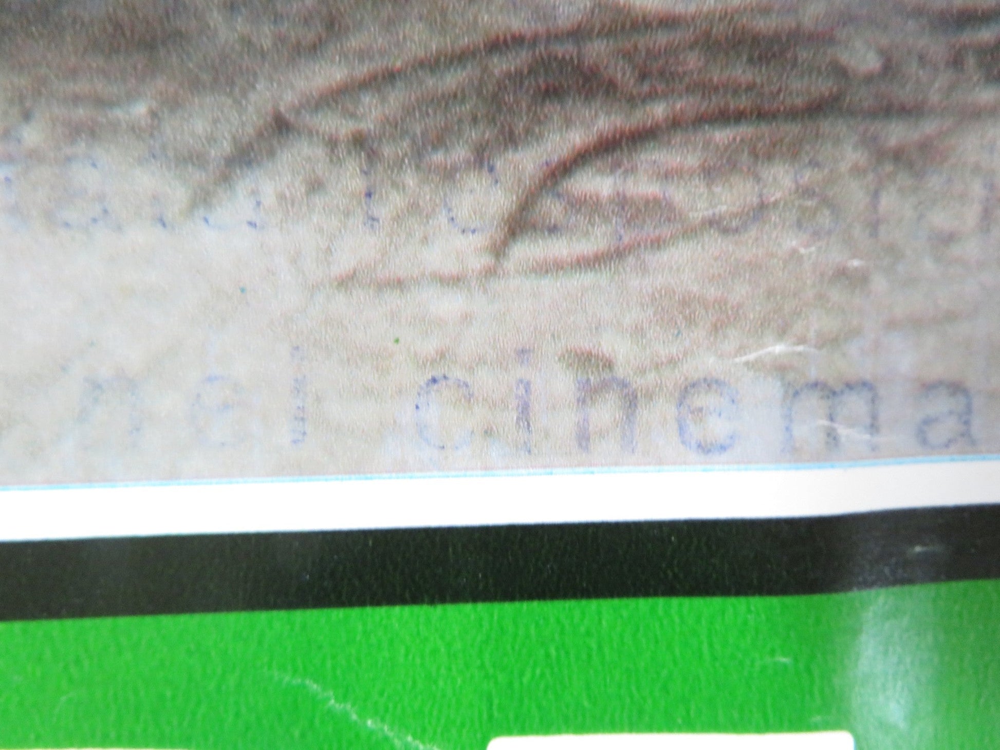 BUG - B ITALIAN FOTOBUSTA POSTER BRADFORD DILLMAN JOANNA MILES 1975 Rendezvous Cinema Movie posters