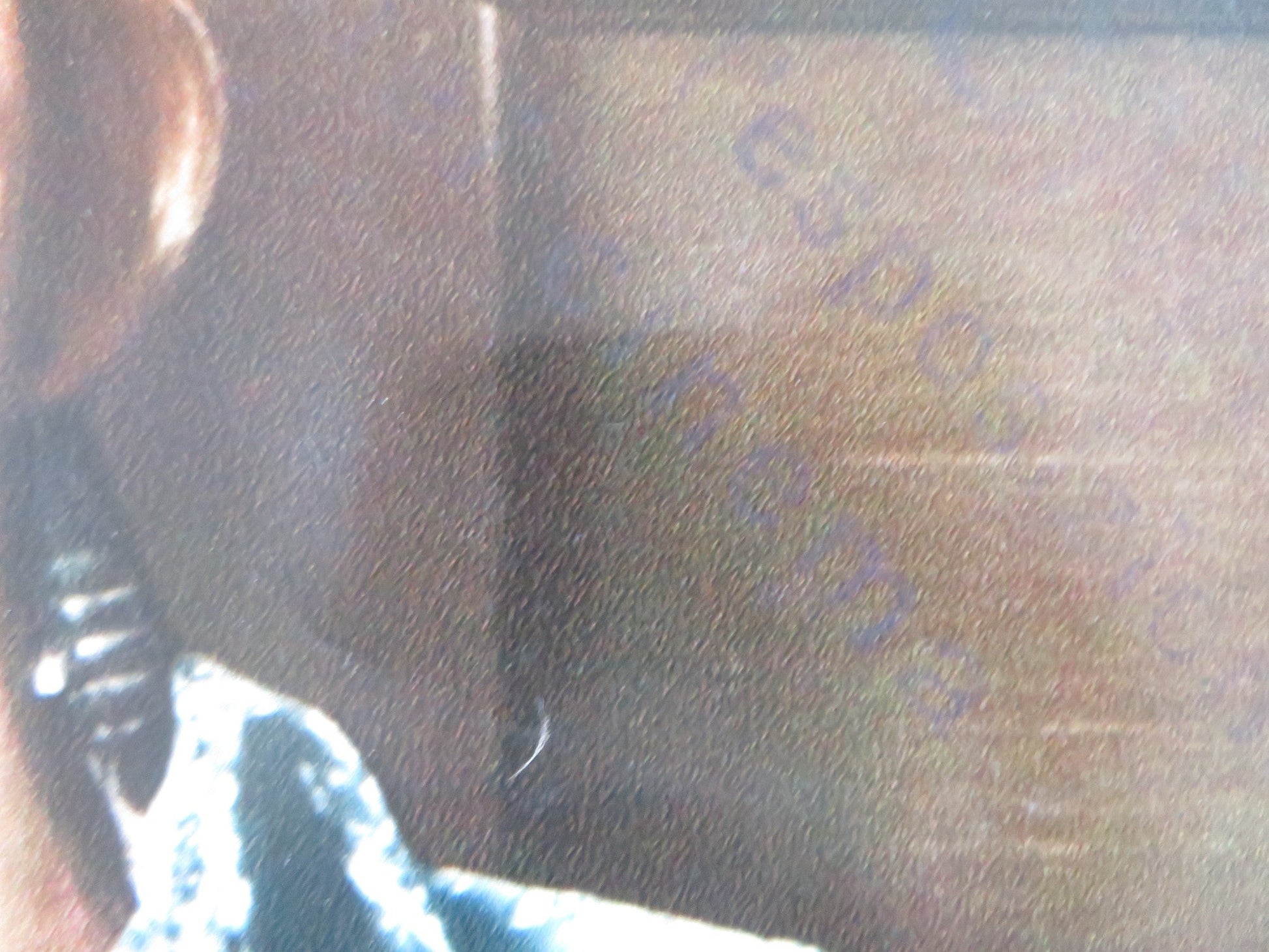 BUG - C ITALIAN FOTOBUSTA POSTER BRADFORD DILLMAN JOANNA MILES 1975 Rendezvous Cinema Movie posters