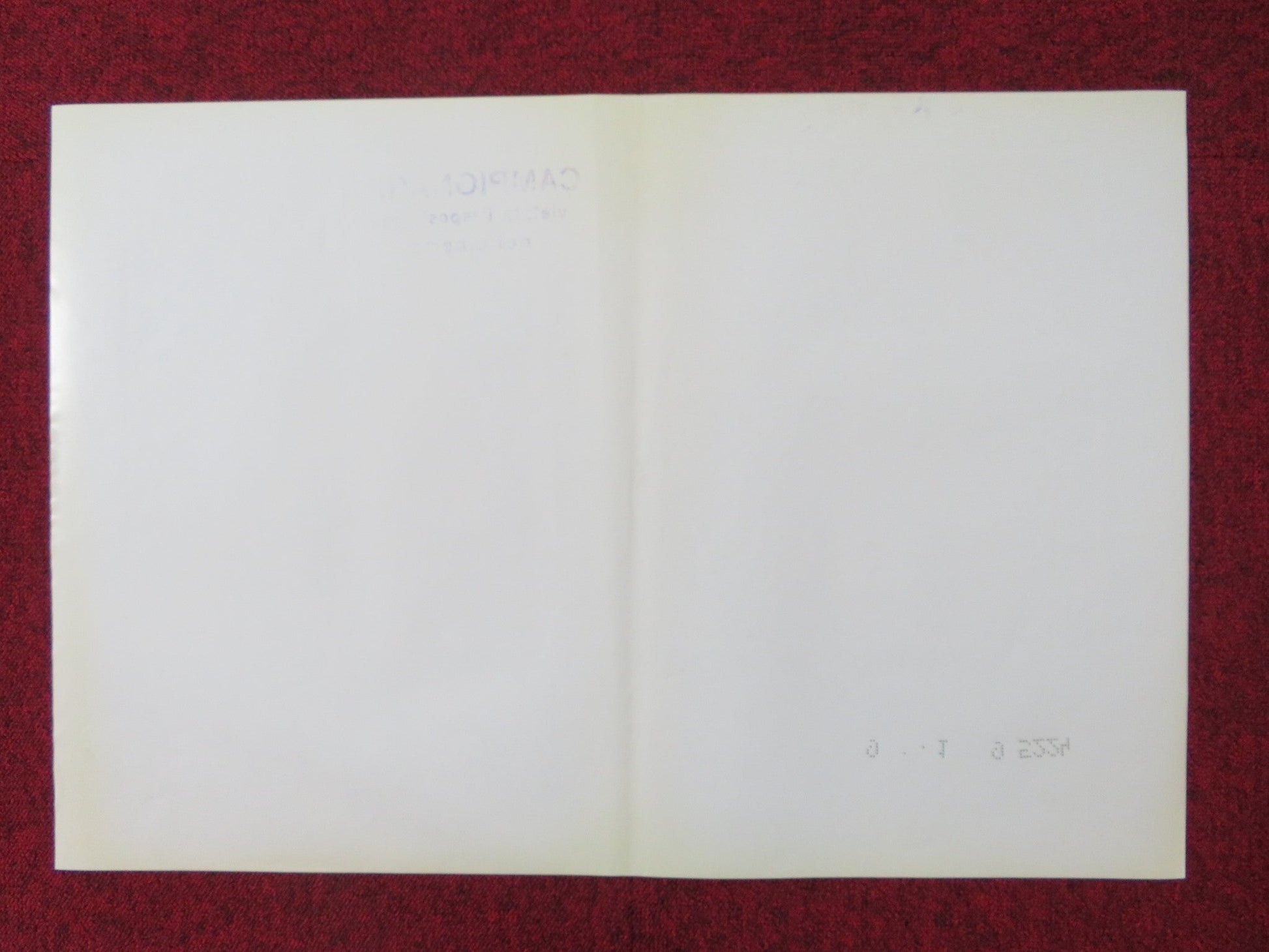 BUG - C ITALIAN FOTOBUSTA POSTER BRADFORD DILLMAN JOANNA MILES 1975 Rendezvous Cinema Movie posters