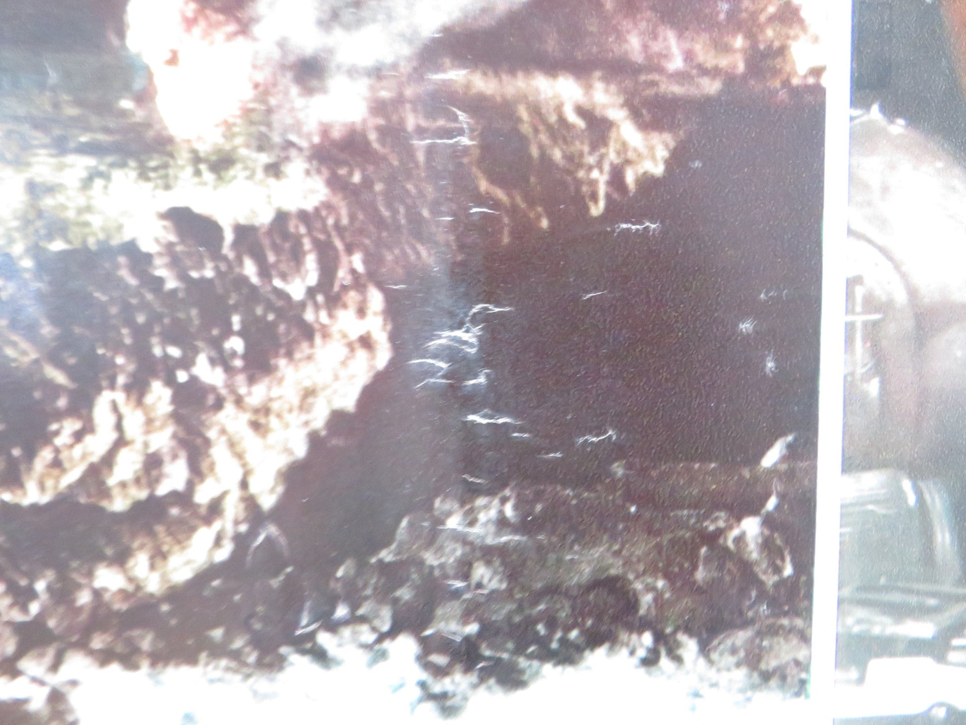 BUG - F ITALIAN FOTOBUSTA POSTER BRADFORD DILLMAN JOANNA MILES 1975 Rendezvous Cinema Movie posters