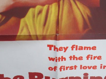 BURNING HILLS US ONE SHEET POSTER TAB HUNTER NATALIE WOOD 1956 Movie posters