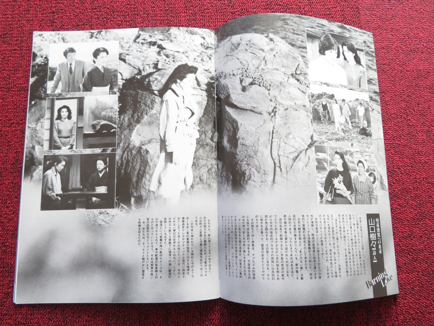 BURNING LOVE JAPANESE BROCHURE / PRESS BOOK TOSHIYA FUJITA KEIKO MATSUZAKA Rendezvous Cinema Movie posters