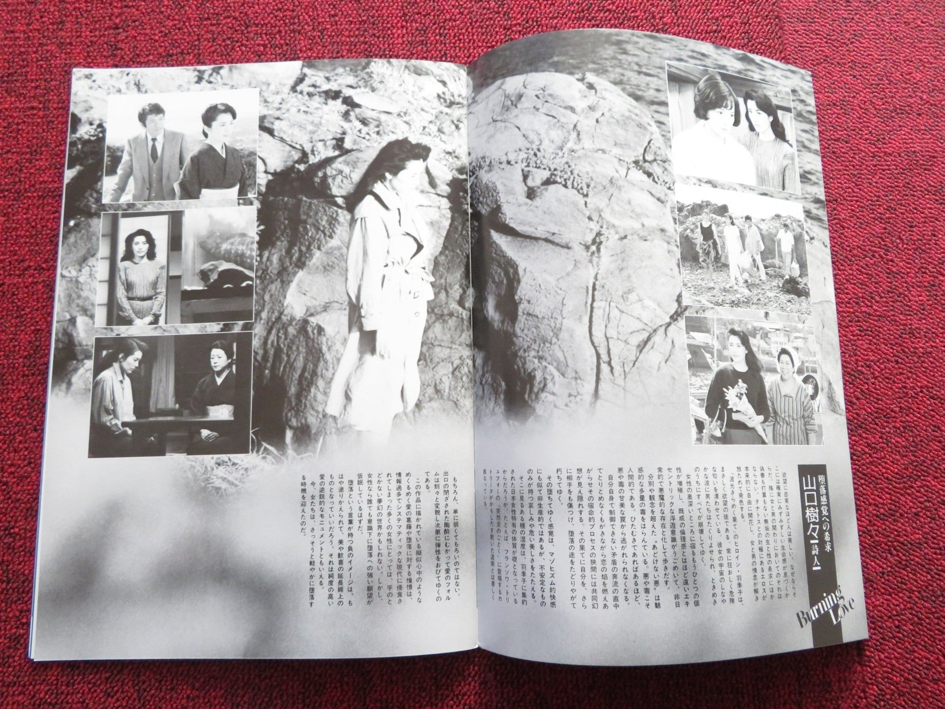 BURNING LOVE JAPANESE BROCHURE / PRESS BOOK TOSHIYA FUJITA KEIKO MATSUZAKA Rendezvous Cinema Movie posters