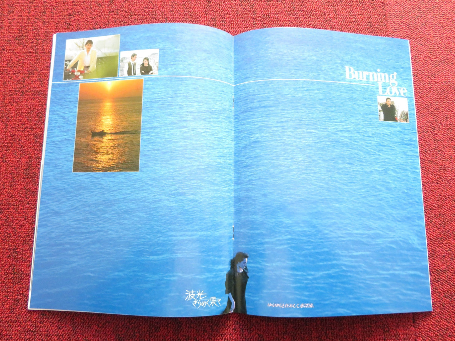 BURNING LOVE JAPANESE BROCHURE / PRESS BOOK TOSHIYA FUJITA KEIKO MATSUZAKA Rendezvous Cinema Movie posters