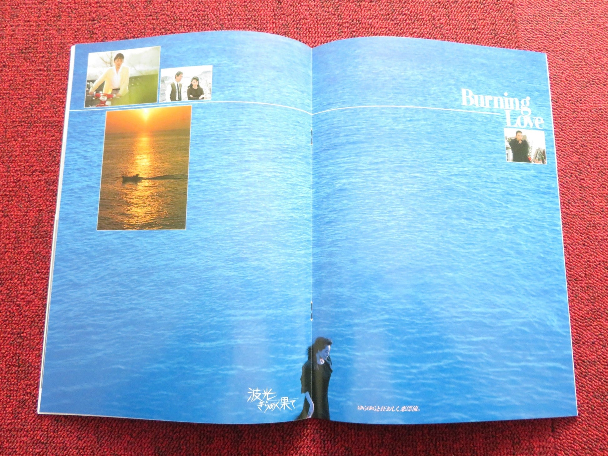 BURNING LOVE JAPANESE BROCHURE / PRESS BOOK TOSHIYA FUJITA KEIKO MATSUZAKA Rendezvous Cinema Movie posters