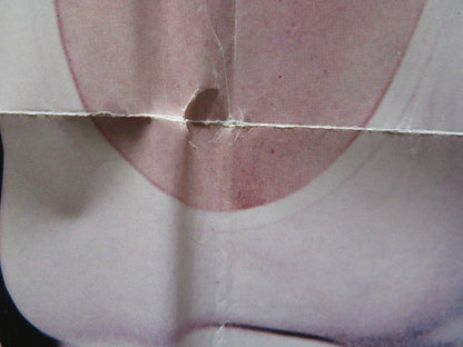 BURNOUT FOLDED US ONE SHEET POSTER MARK SCHNEIDER BOB LOUDEN 1979 Movie posters