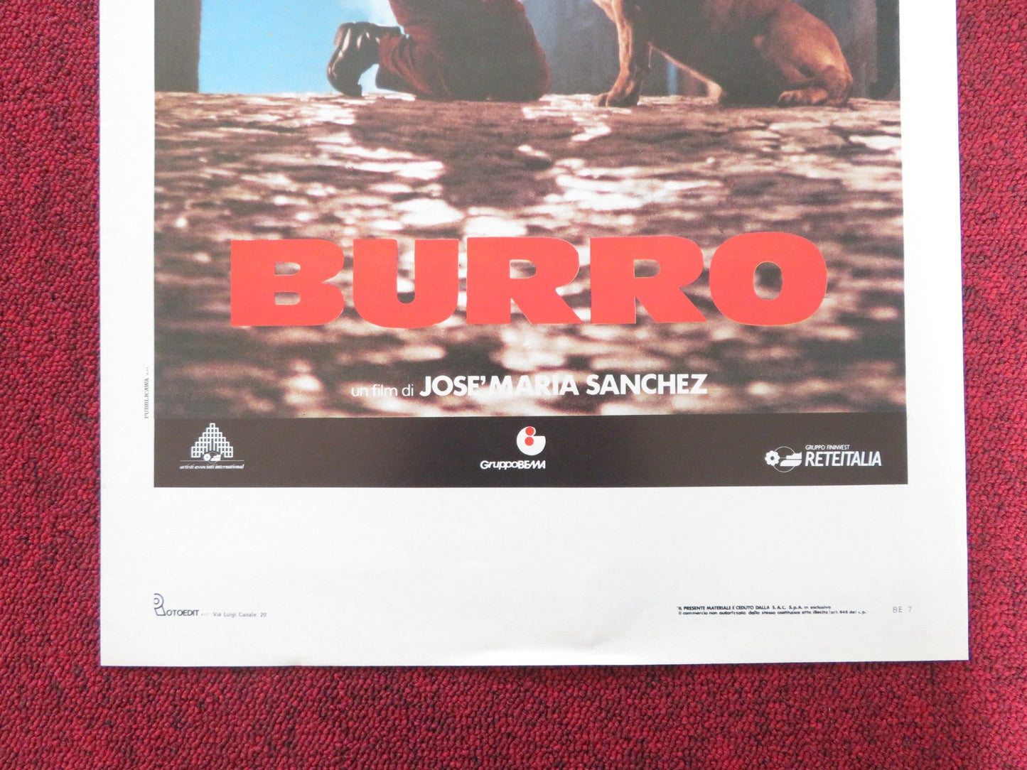 BURRO ITALIAN LOCANDINA POSTER RENATO POZZETTO ELENA SOFIA RICCI 1989 Rendezvous Cinema Movie posters