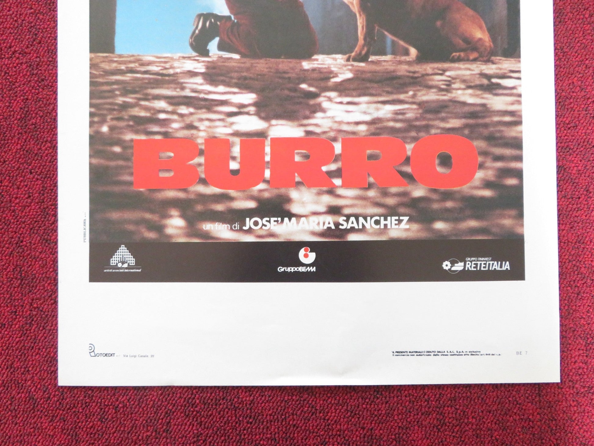 BURRO ITALIAN LOCANDINA POSTER RENATO POZZETTO ELENA SOFIA RICCI 1989 Rendezvous Cinema Movie posters
