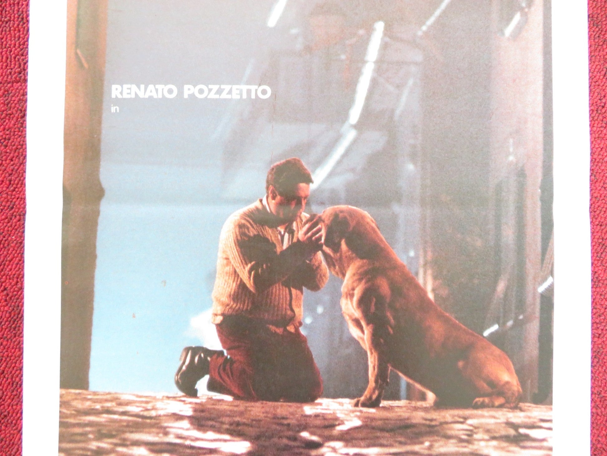 BURRO ITALIAN LOCANDINA POSTER RENATO POZZETTO ELENA SOFIA RICCI 1989 Rendezvous Cinema Movie posters