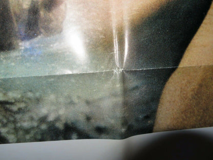 BUSHBABY FOLDED US ONE SHEET POSTER MARGARET BROOKS LOUIS GOSSETT 1970 Movie posters