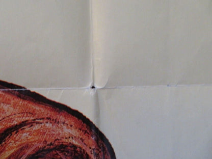 BUTTERFLIES ARE FREE FOLDED US ONE SHEET POSTER GOLDIE HAWN 1972 Movie posters