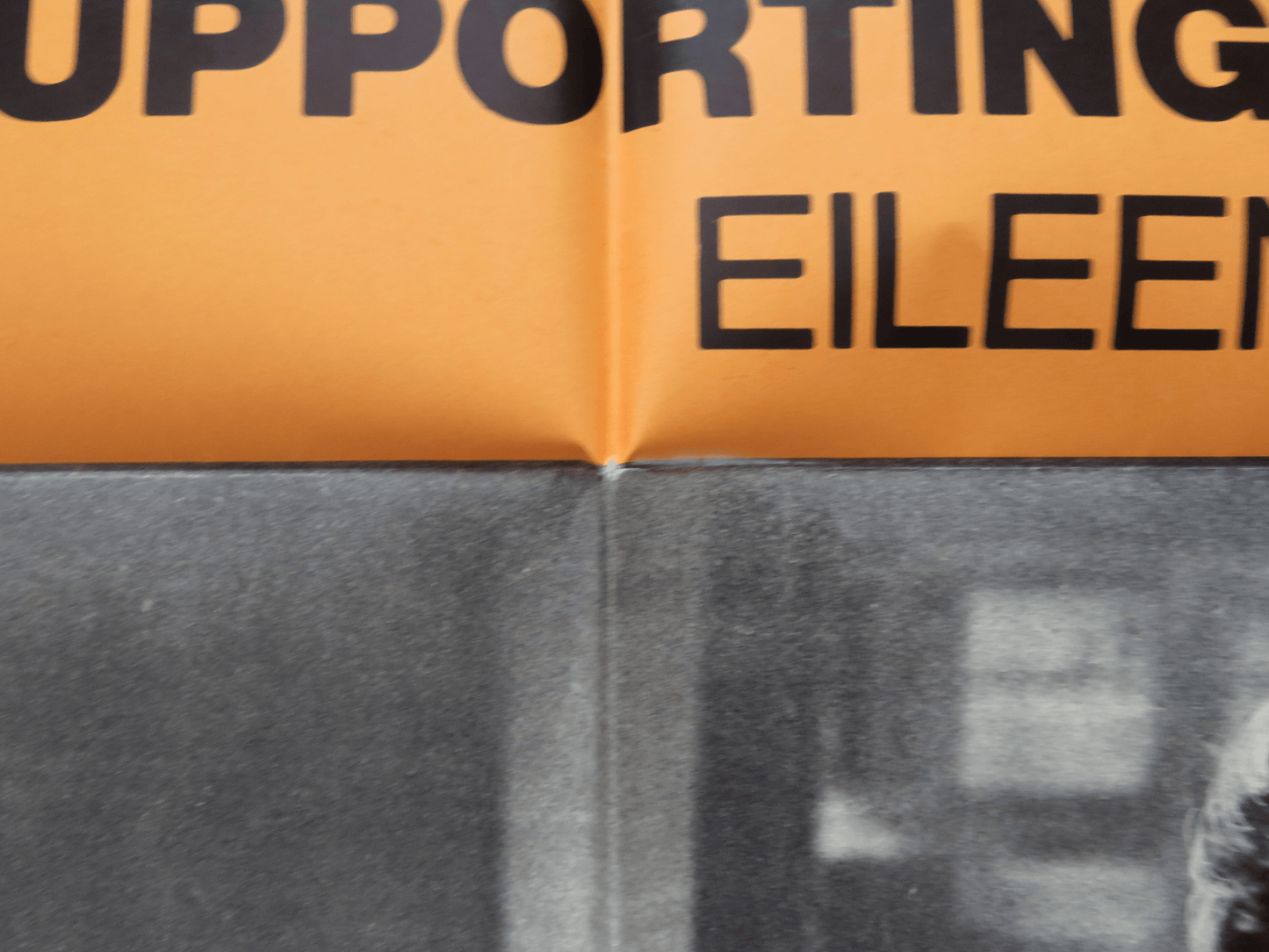 BUTTERFLIES ARE FREE - STYLE B FOLDED US ONE SHEET POSTER GOLDIE HAWN 1973 Rendezvous Cinema Movie posters