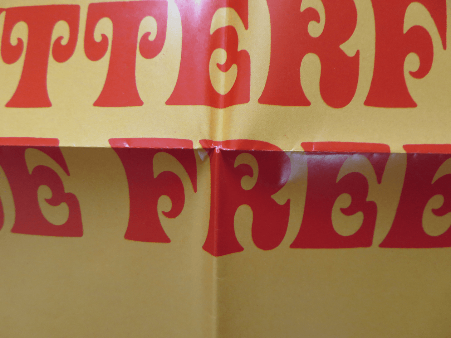 BUTTERFLIES ARE FREE - STYLE B FOLDED US ONE SHEET POSTER GOLDIE HAWN 1973 Rendezvous Cinema Movie posters