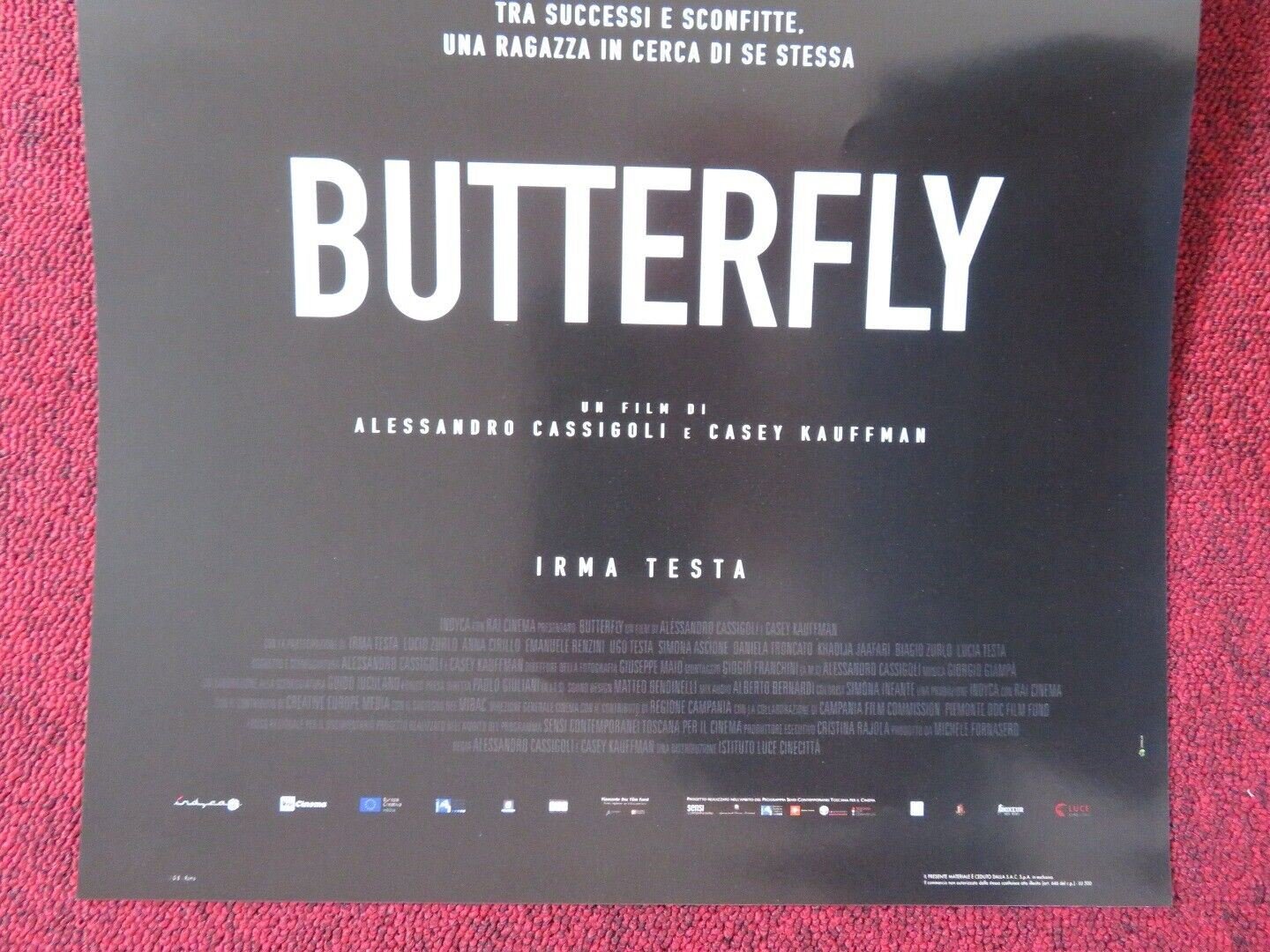 BUTTERFLY ITALIAN LOCANDINA (26.5"x12.5") POSTER ALESSANDRO CASSIGOL 2018 Movie posters