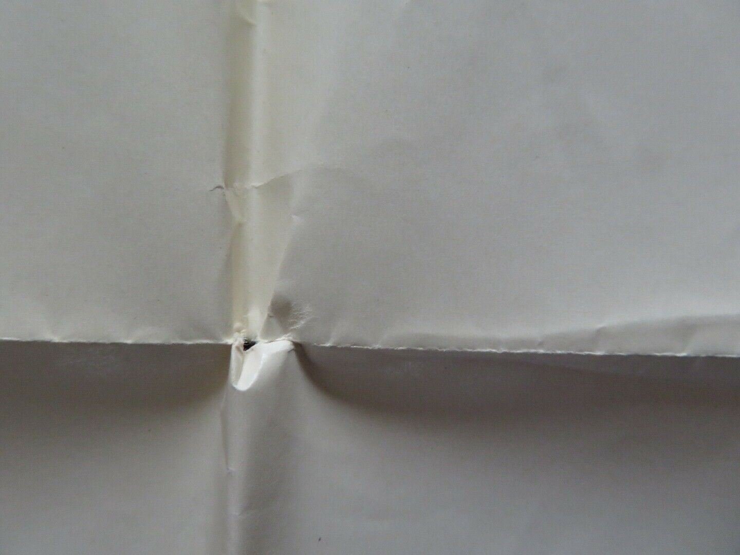 CACTUS FLOWER US ONE SHEET POSTER INGRID BERGMAN GOLDIE HAWN 1969 Movie posters