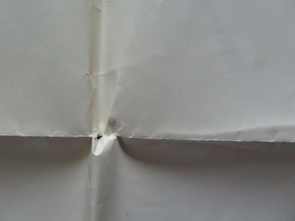 CACTUS FLOWER US ONE SHEET POSTER INGRID BERGMAN GOLDIE HAWN 1969 Movie posters