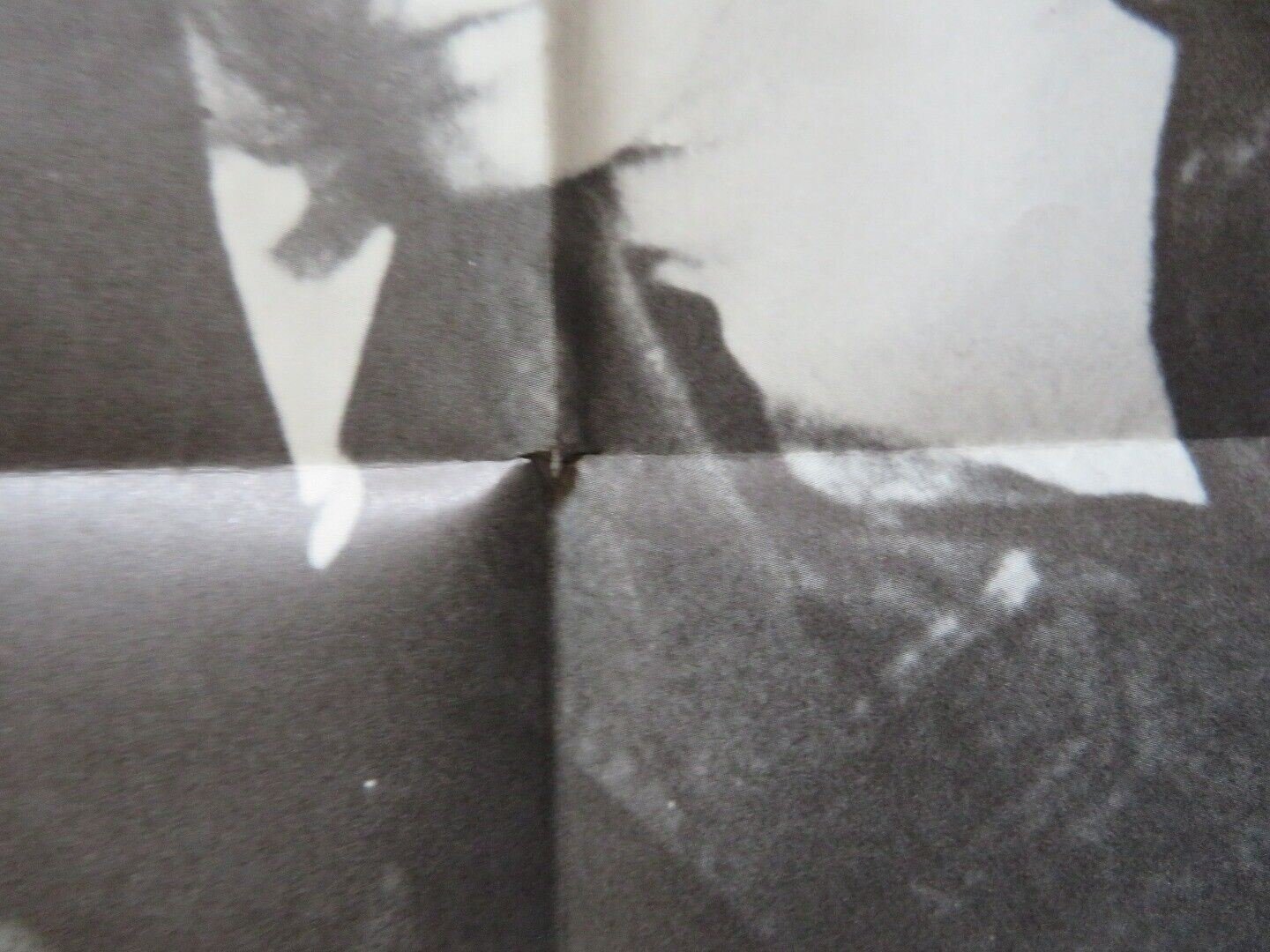 CACTUS IN THE SNOW FOLDED US ONE SHEET POSTER RICHARD THOMAS MARY LAYNE 1971 Movie posters