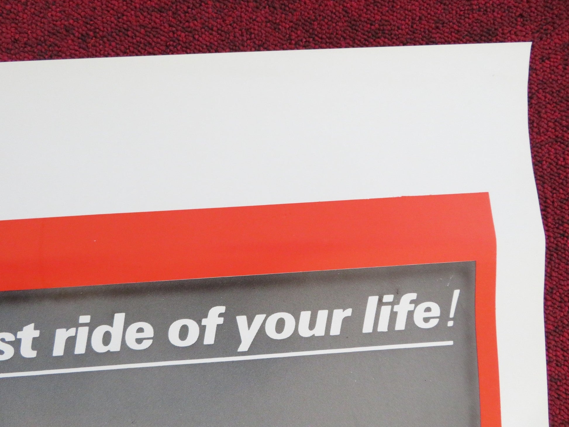 CADILLAC NAMED DESIRE US ONE SHEET ROLLED POSTER SHARON THORPE LOU MANN 1976 Rendezvous Cinema Movie posters