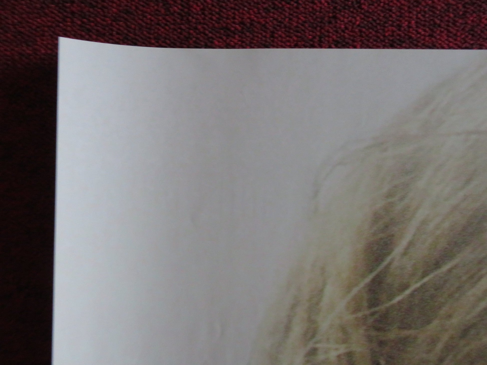 CAKE UK QUAD (30"x 40") ROLLED POSTER JENNIFER ANISTON SAM WORTHINGTON 2014 Rendezvous Cinema Movie posters