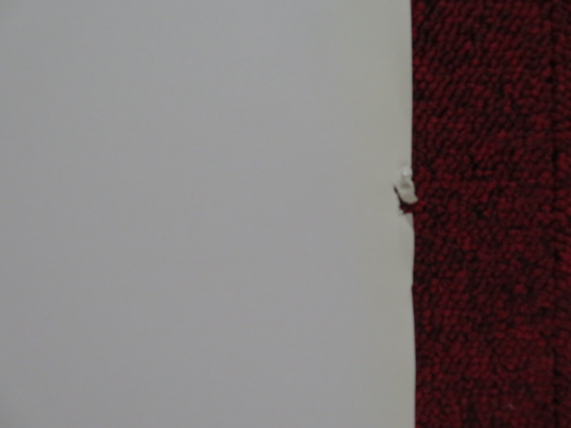 CALL OF THE WILD 3D ITALIAN LOCANDINA POSTER CHRISTOPHER LLOYD ARIEL GADE 2009 Rendezvous Cinema Movie posters