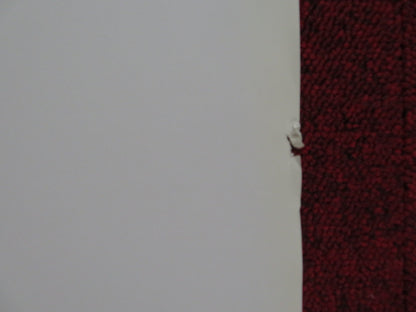 CALL OF THE WILD 3D ITALIAN LOCANDINA POSTER CHRISTOPHER LLOYD ARIEL GADE 2009 Rendezvous Cinema Movie posters