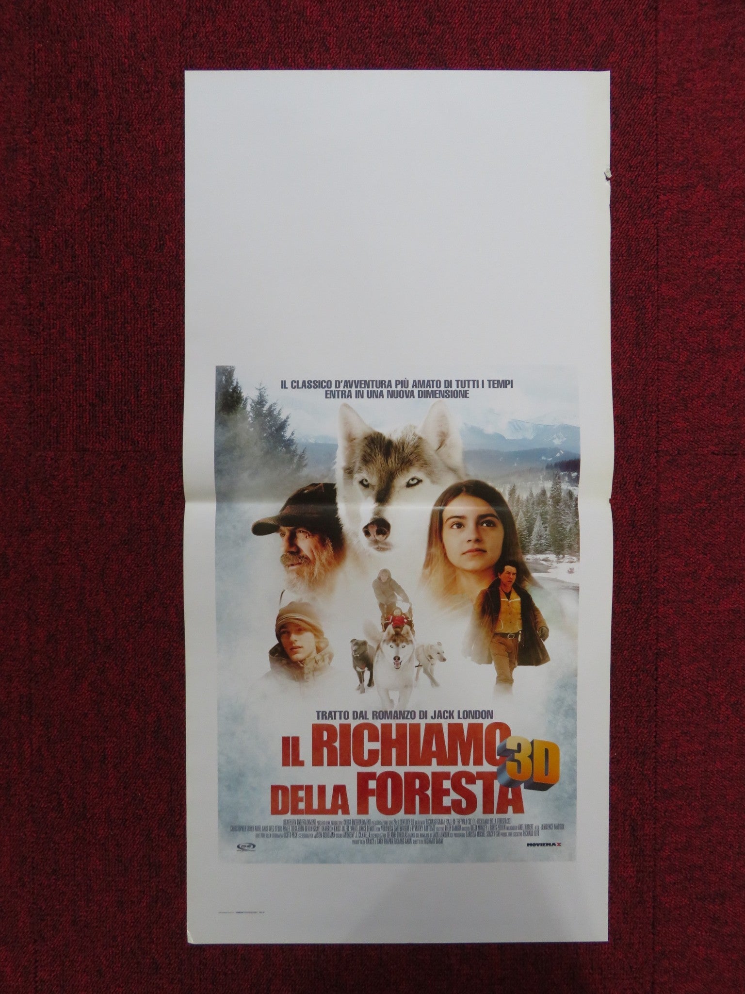 CALL OF THE WILD 3D ITALIAN LOCANDINA POSTER CHRISTOPHER LLOYD ARIEL GADE 2009 Rendezvous Cinema Movie posters