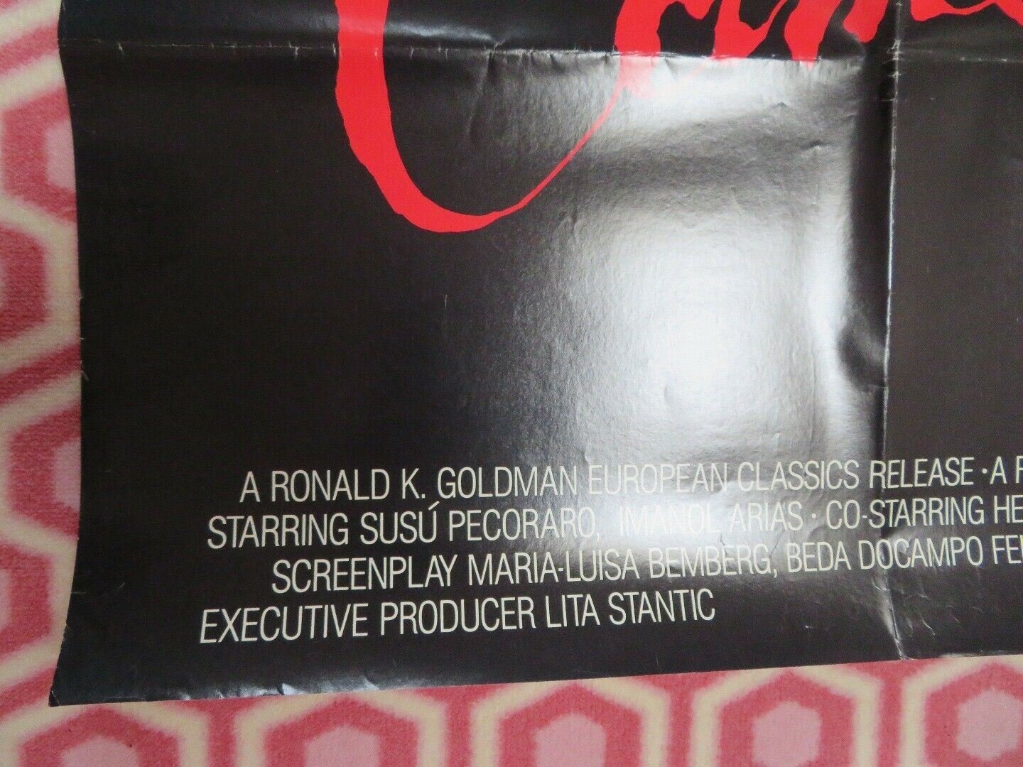 CAMILA US ONE SHEET POSTER SUSU PECORARO 1985 Movie posters