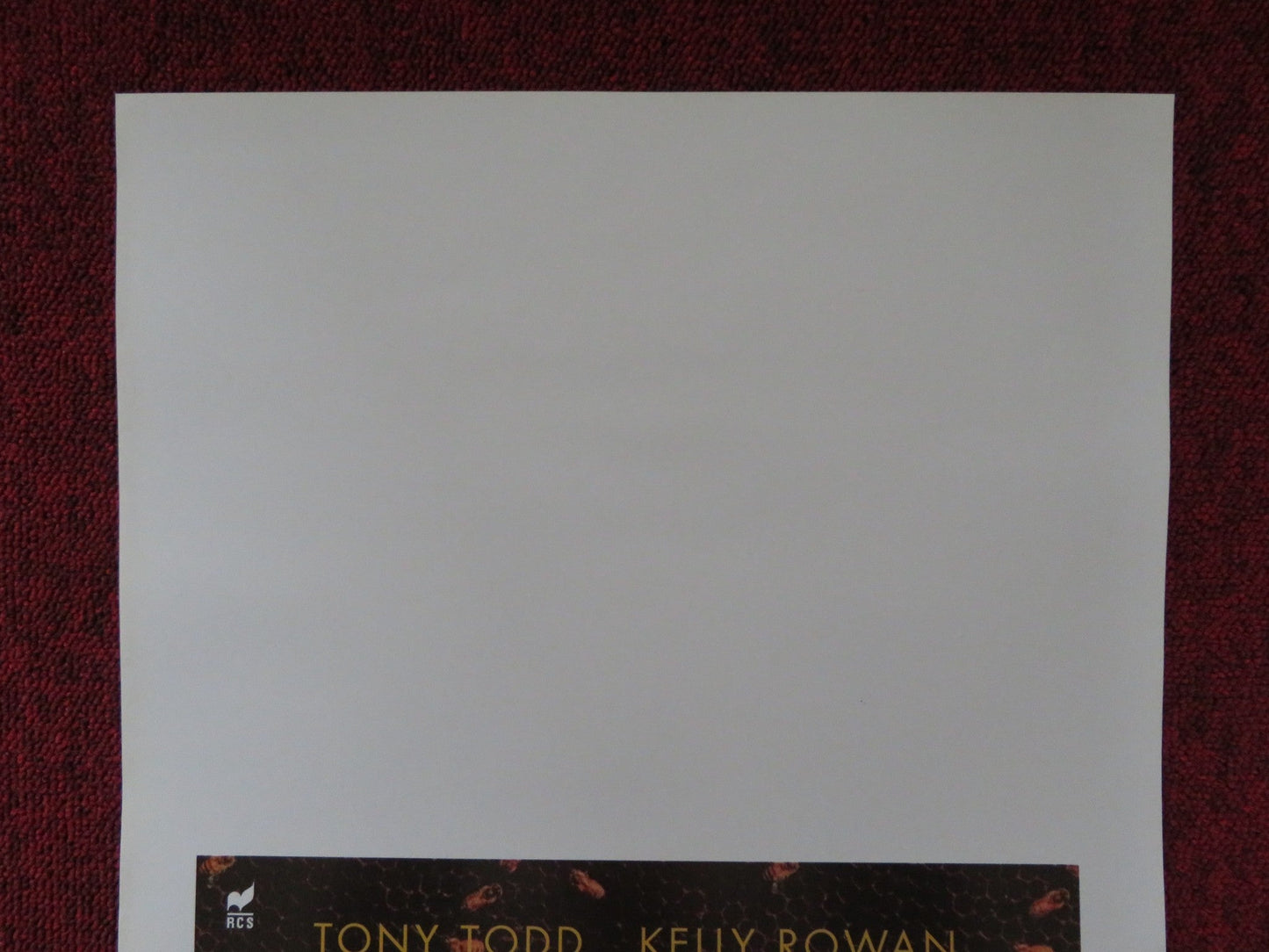 CANDYMAN: FAREWELL TO THE FLESH ITALIAN LOCANDINA POSTER TONY TODD K. ROWAN 1995 Rendezvous Cinema Movie posters