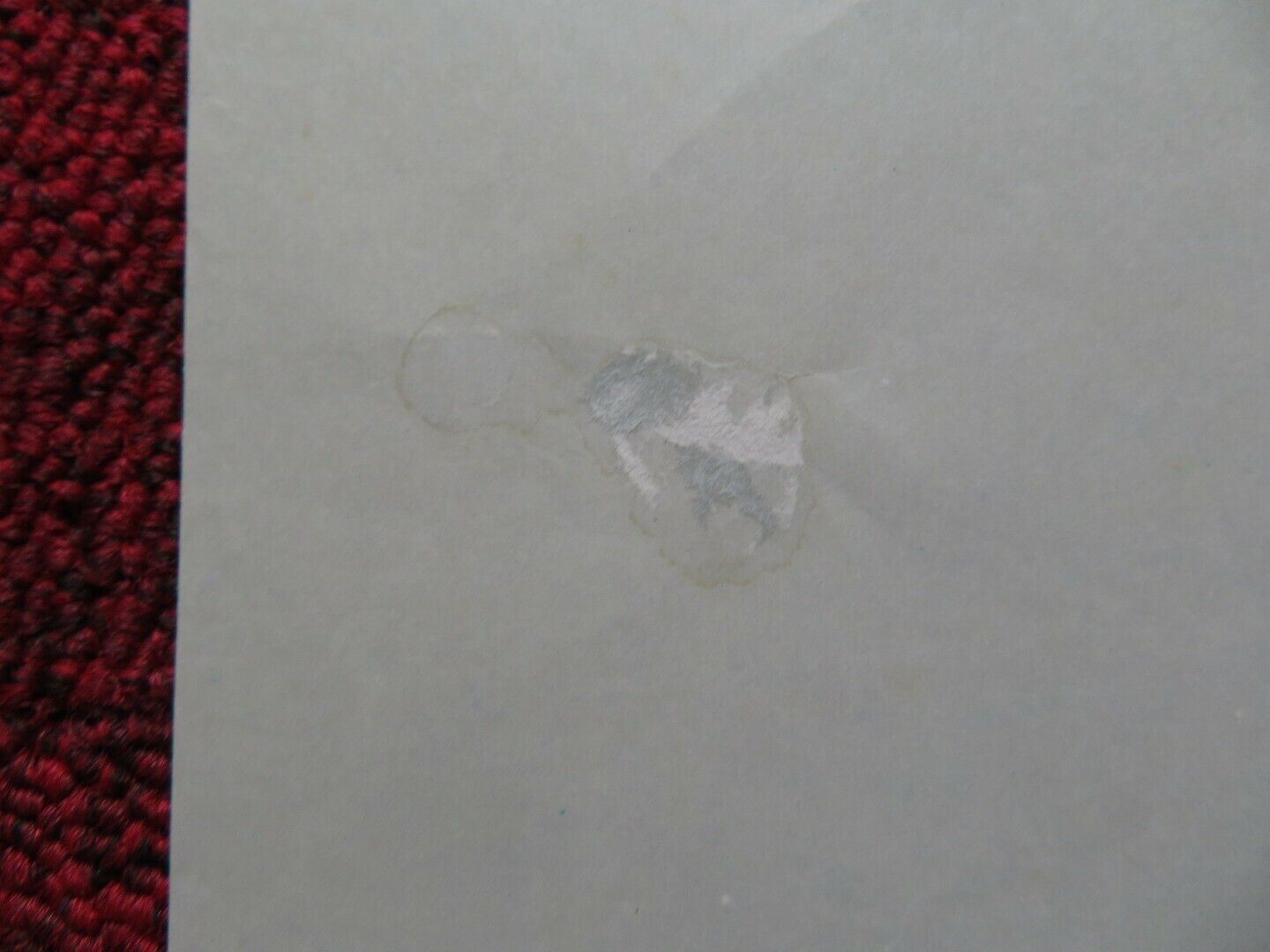 CAPE FEAR FOLDED ARGENTINA POSTER SCORSESE ROBERT DE NIRO NICK NOLTE J. LEWIS - Rendezvous Cinema