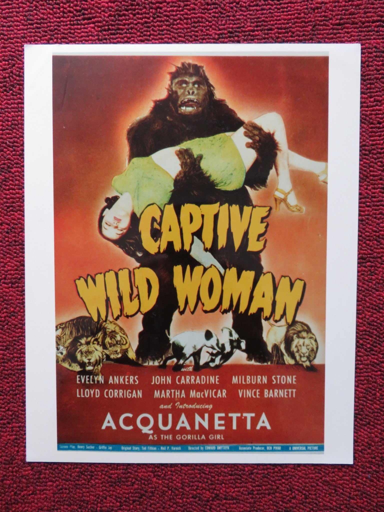 CAPTIVE WILD WOMAN DEALER PHOTO POSTER JOHN CARRADINE EVELYN ANKERS 1943 Rendezvous Cinema Movie posters
