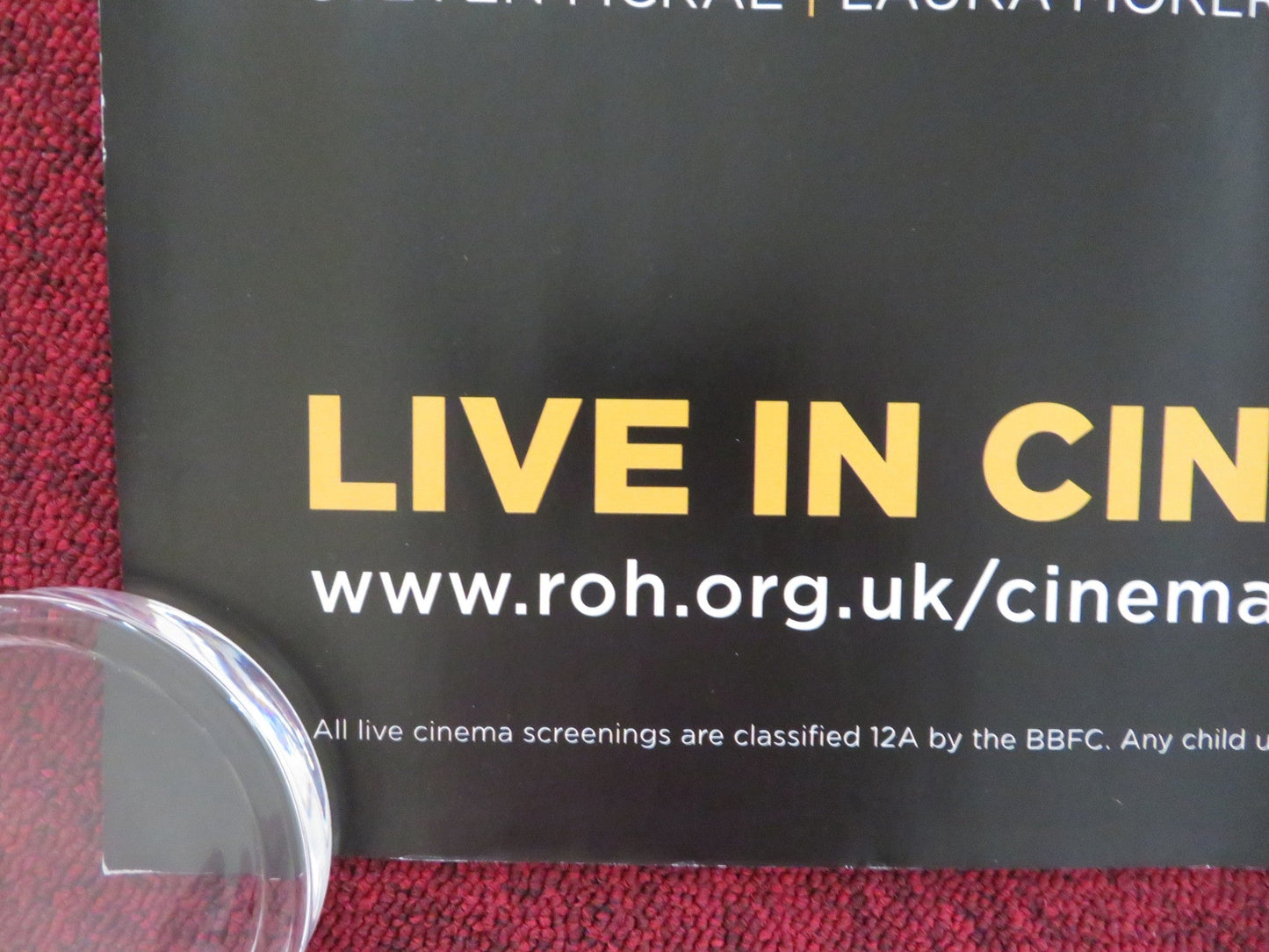 CARMEN ROYAL OPERA HOUSE UK QUAD ROLLED POSTER CARLOS ACOSTA 2015 Rendezvous Cinema Movie posters