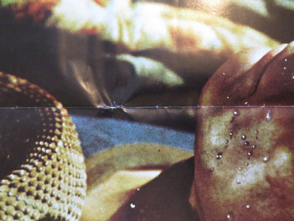 CASCABEL / THE RATTLESNAKE ARGENTINIAN POSTER ERNESTO GOMEZ CRUZ RAMIREZ 1977 Rendezvous Cinema Movie posters