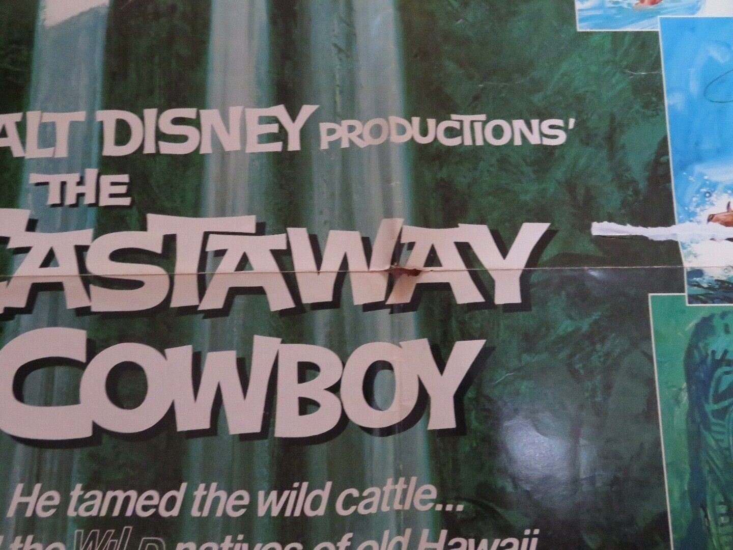 CASTAWAY COWBOY US ONE SHEET POSTER JAMES GARNER VERA MILES 1974 Movie posters