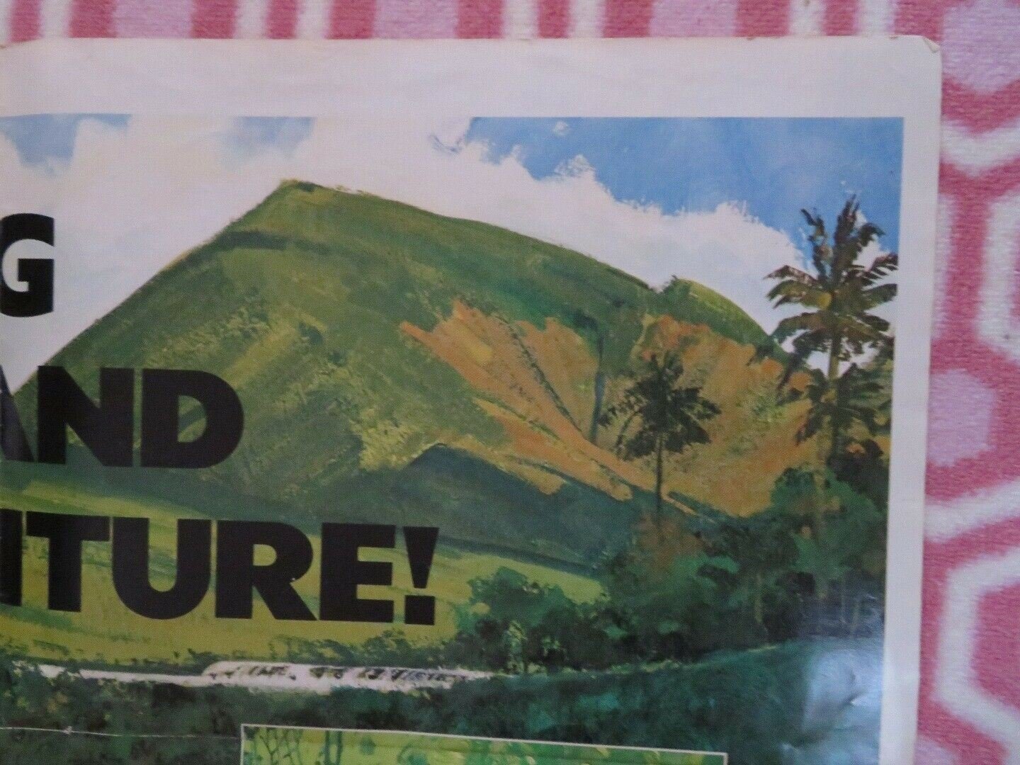 CASTAWAY COWBOY US ONE SHEET POSTER JAMES GARNER VERA MILES 1974 Movie posters