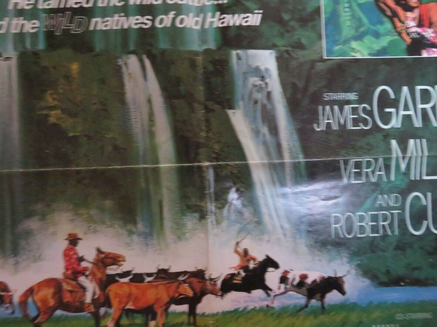 CASTAWAY COWBOY US ONE SHEET POSTER JAMES GARNER VERA MILES 1974 Movie posters