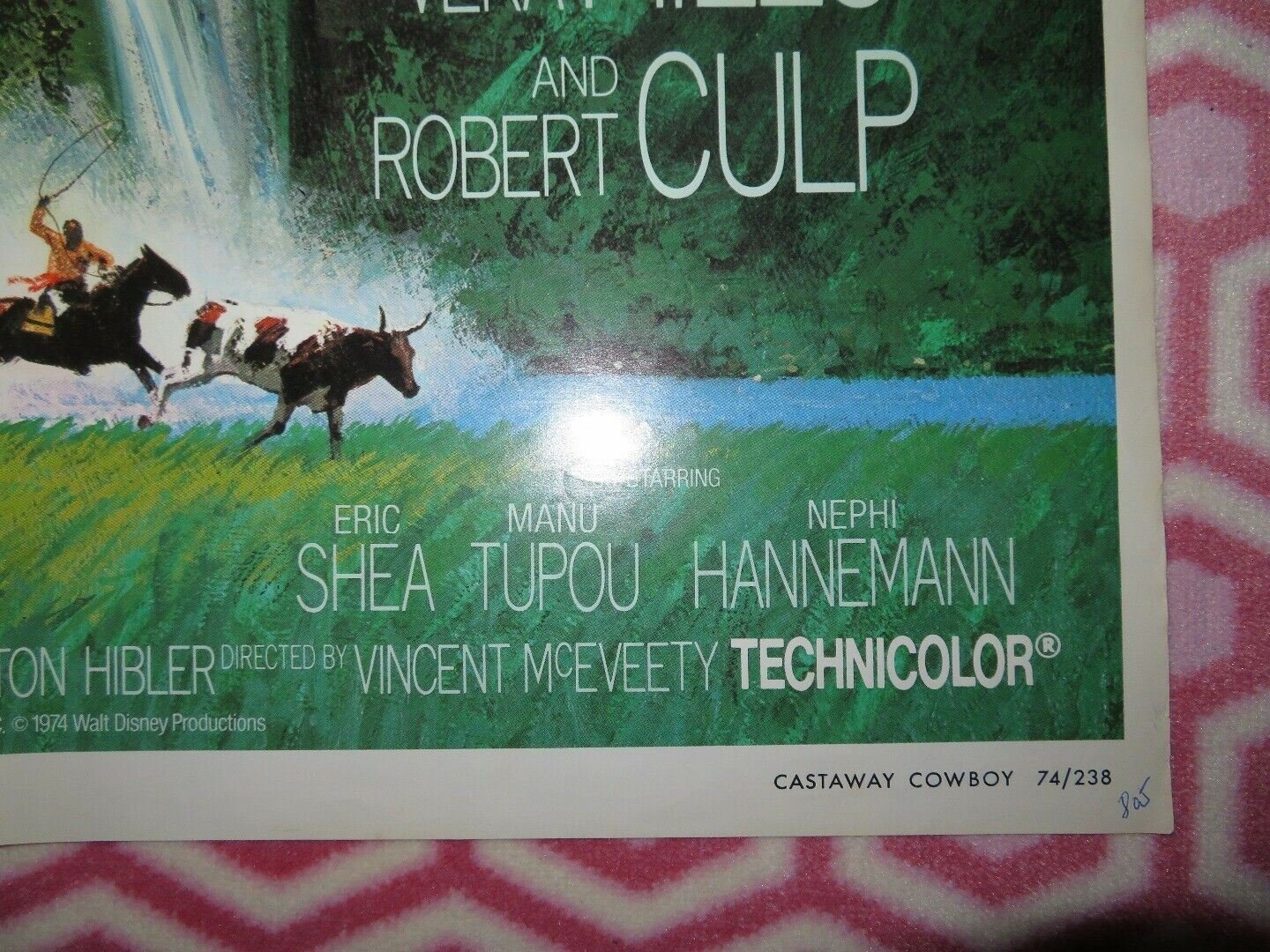 CASTAWAY COWBOY US ONE SHEET POSTER JAMES GARNER VERA MILES 1974 Movie posters