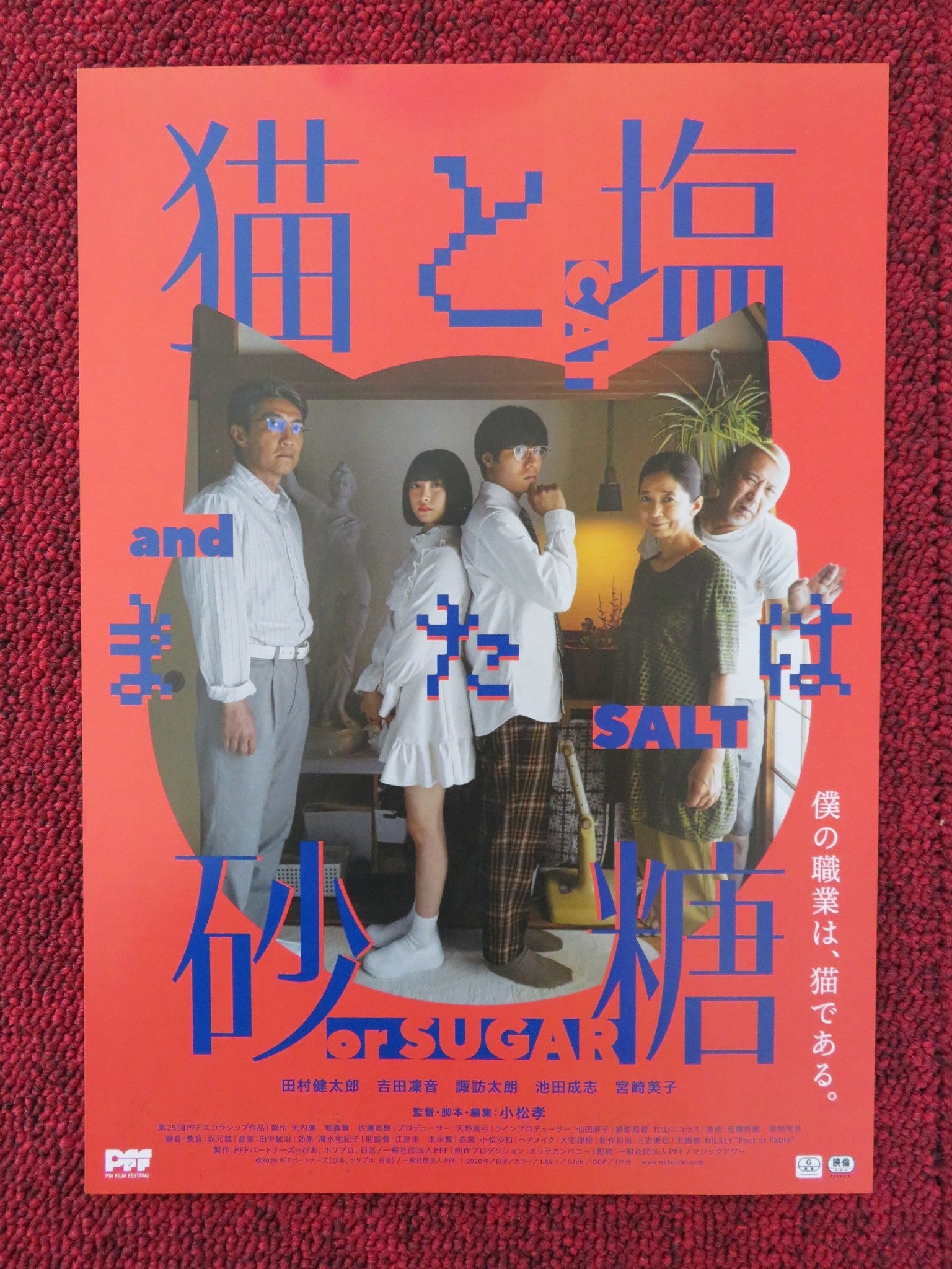 CAT AND SALT OR SUGAR JAPANESE CHIRASHI (B5) POSTER TAMURA KENTARO S TARO 2020 Rendezvous Cinema Movie posters