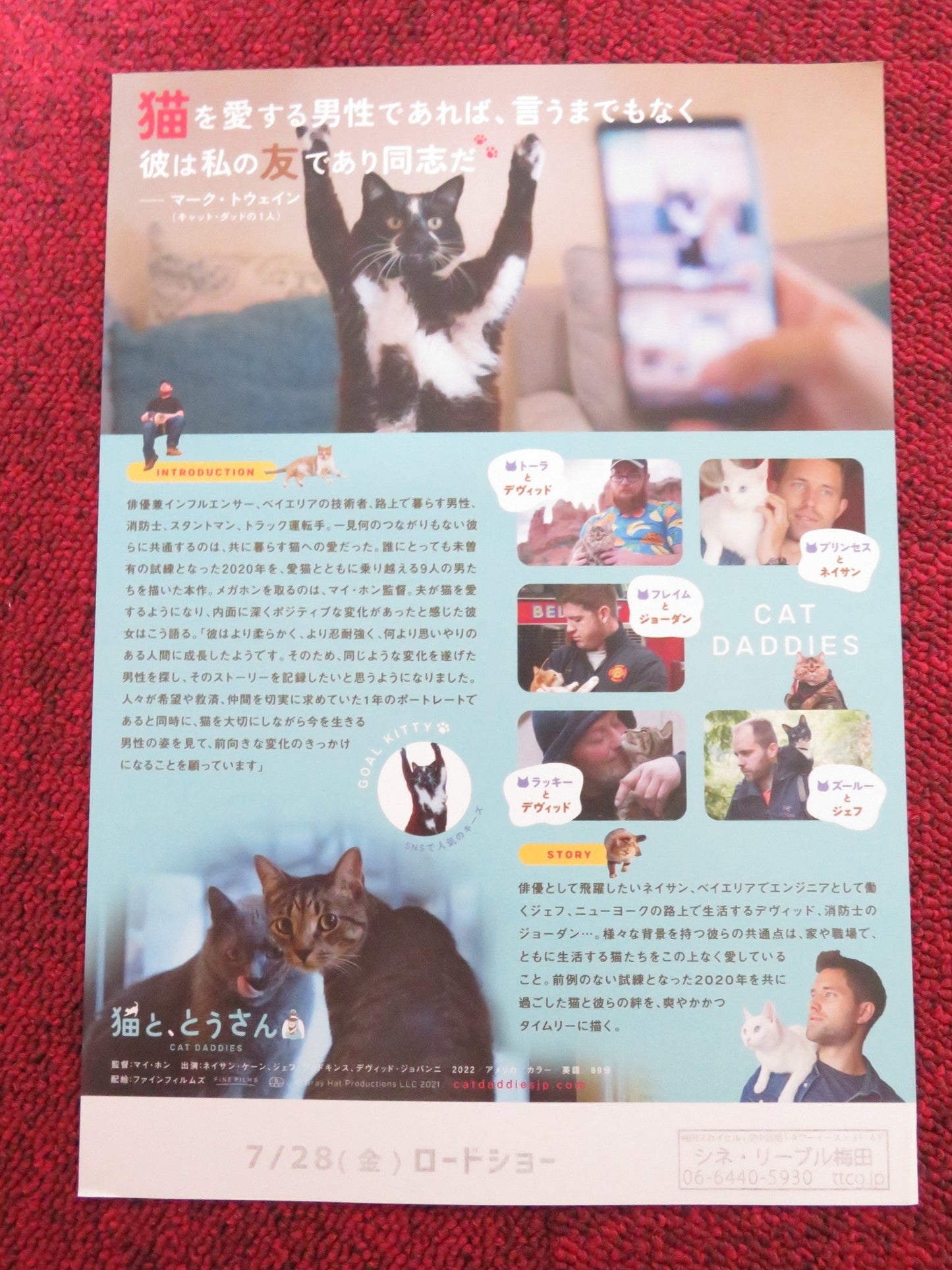 CAT DADDIES JAPANESE CHIRASHI (B5) POSTER NATHAN KEHN RYAN ROBERTSON 2022 Rendezvous Cinema Movie posters