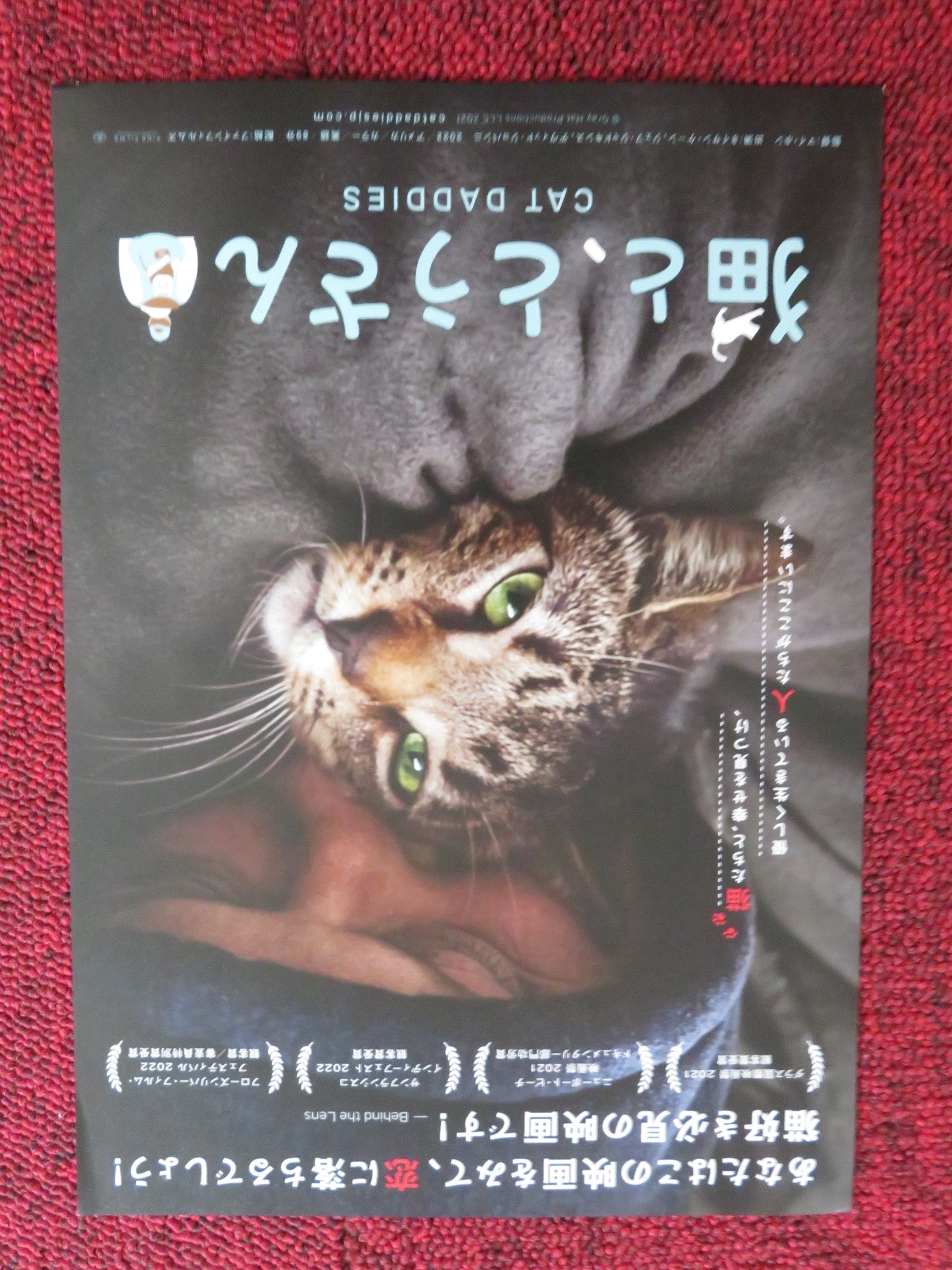 CAT DADDIES JAPANESE CHIRASHI (B5) POSTER NATHAN KEHN RYAN ROBERTSON 2022 Rendezvous Cinema Movie posters
