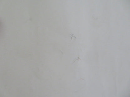 CATCH ME IF YOU CAN UK QUAD (30"x 40") ROLLED POSTER SPIELBERG TOM HANKS 2002 Rendezvous Cinema Movie posters