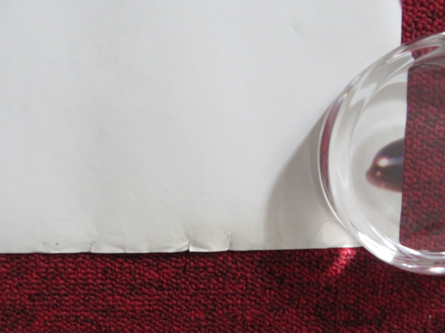 CATCH ME IF YOU CAN UK QUAD (30"x 40") ROLLED POSTER SPIELBERG TOM HANKS 2002 Rendezvous Cinema Movie posters