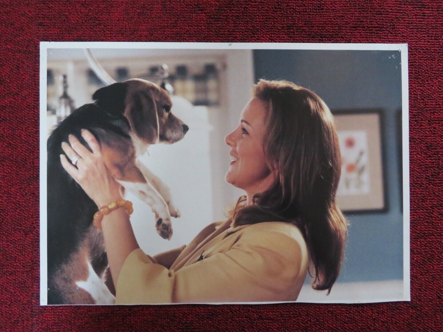 CATS AND DOGS - A US LOBBY CARD ELIZABETH PERKINS 2001 Movie posters