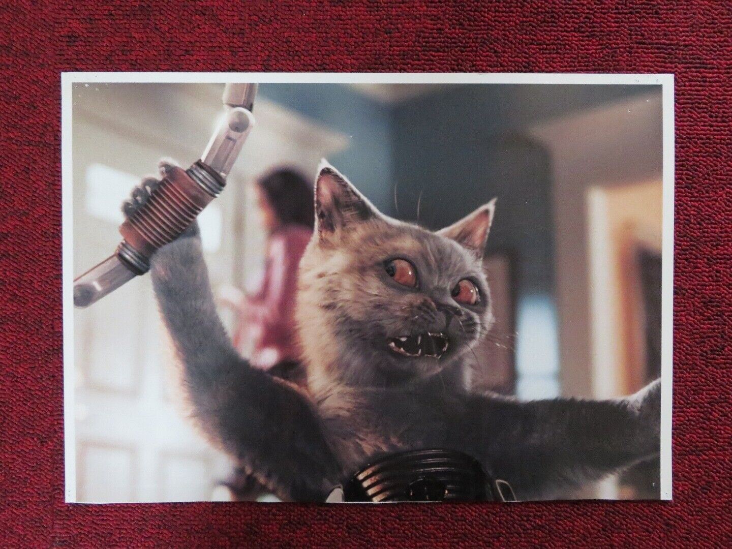 CATS AND DOGS - B US LOBBY CARD 2001 Movie posters