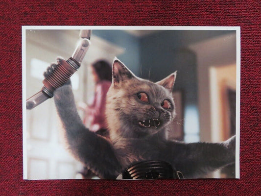 CATS AND DOGS - B US LOBBY CARD 2001 Movie posters