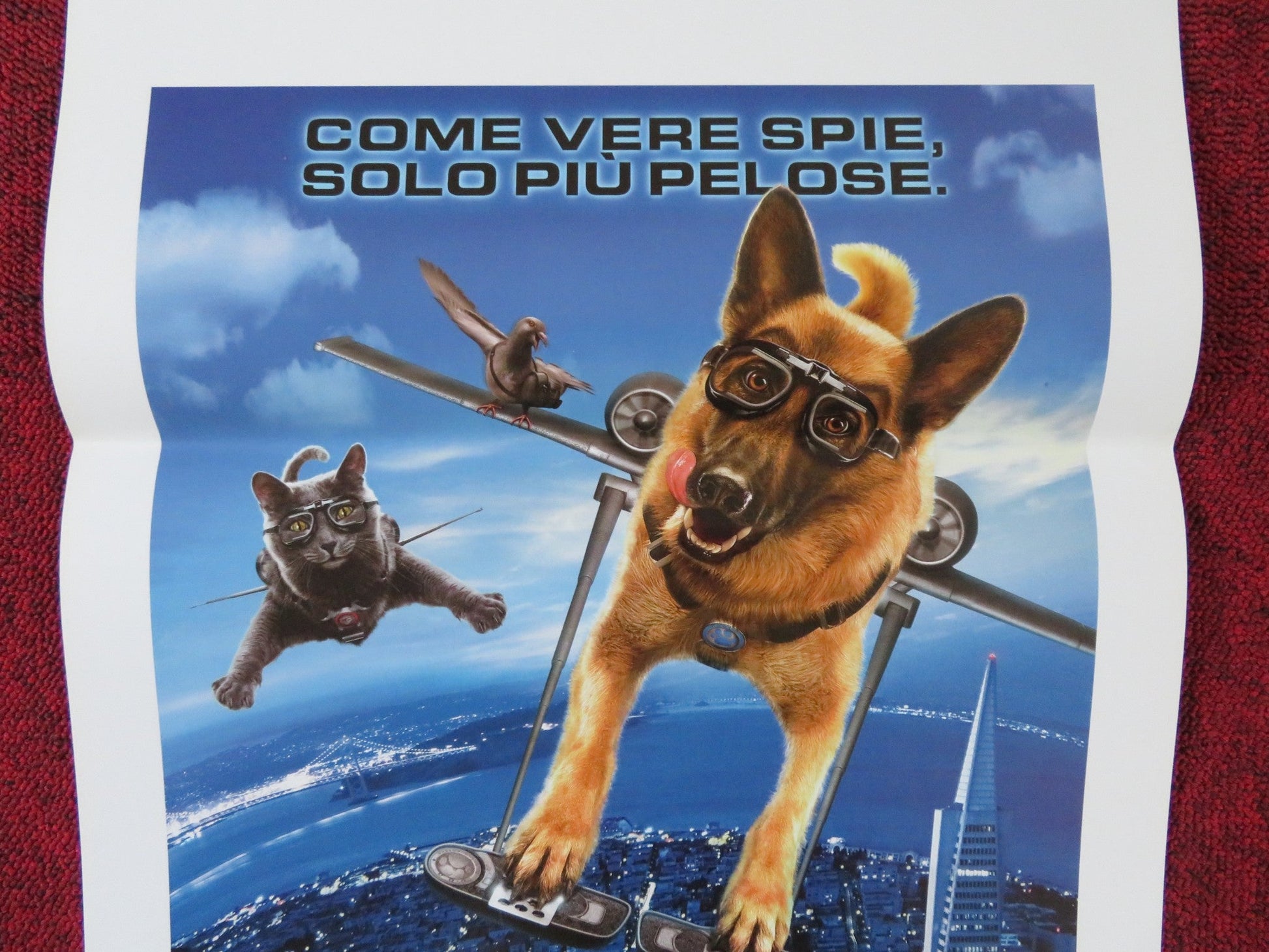 CATS & DOGS: THE REVENGE OF KITTY GALORE ITALIAN LOCANDINA POSTER MARSDEN 2010 Rendezvous Cinema Movie posters